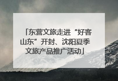 东营文旅走进“好客山东”开封、沈阳夏季文旅产品推广活动