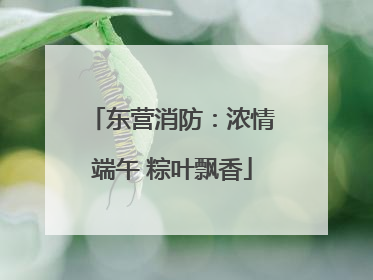 东营消防：浓情端午 粽叶飘香