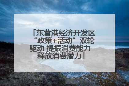 东营港经济开发区“政策+活动”双轮驱动 提振消费能力 释放消费潜力