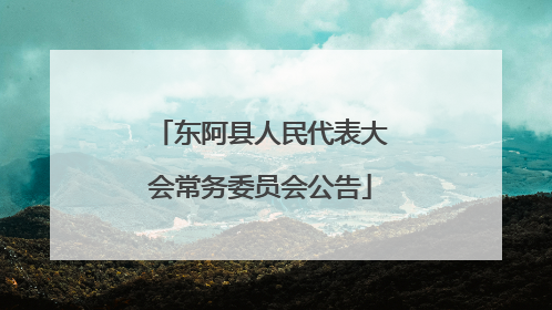 东阿县人民代表大会常务委员会公告