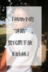 两地小鹿“迷路”，警民携手放归山林