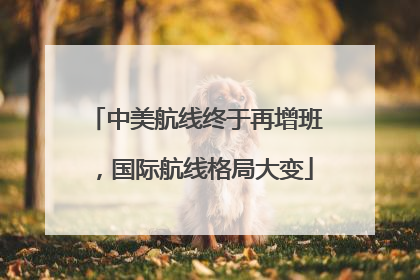 中美航线终于再增班，国际航线格局大变