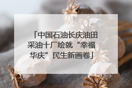 中国石油长庆油田采油十厂绘就“幸福华庆”民生新画卷