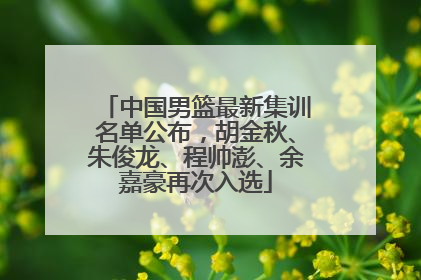 中国男篮最新集训名单公布，胡金秋、朱俊龙、程帅澎、余嘉豪再次入选