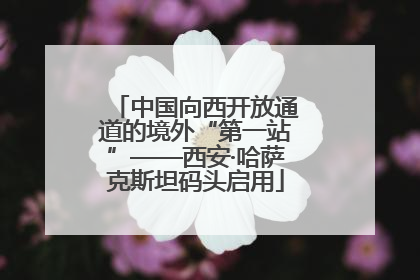 中国向西开放通道的境外“第一站”——西安·哈萨克斯坦码头启用
