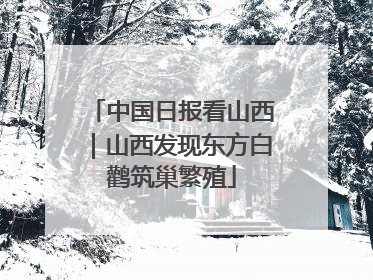 中国日报看山西｜山西发现东方白鹳筑巢繁殖