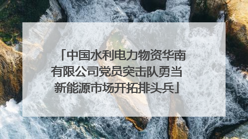 中国水利电力物资华南有限公司党员突击队勇当新能源市场开拓排头兵