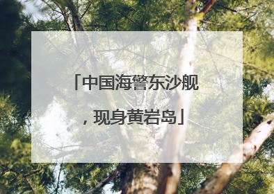 中国海警东沙舰，现身黄岩岛
