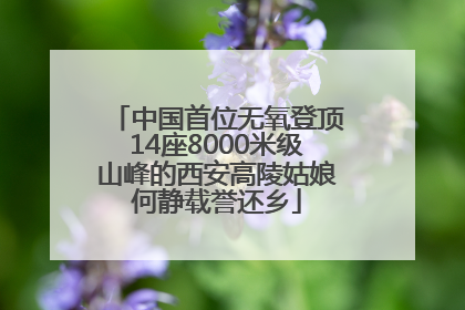 中国首位无氧登顶14座8000米级山峰的西安高陵姑娘何静载誉还乡