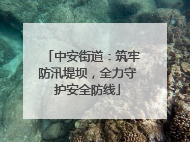 中安街道：筑牢防汛堤坝，全力守护安全防线