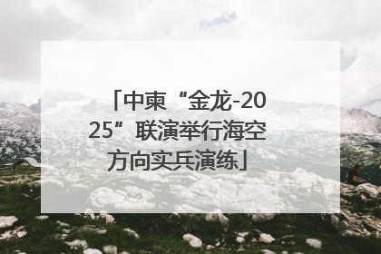 中柬“金龙-2025”联演举行海空方向实兵演练