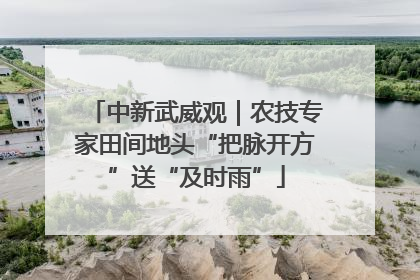 中新武威观｜农技专家田间地头“把脉开方”送“及时雨”