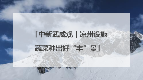 中新武威观｜凉州设施蔬菜种出好“丰”景