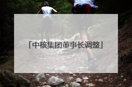 中核集团董事长调整