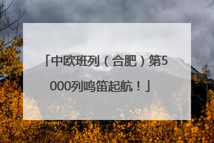 中欧班列（合肥）第5000列鸣笛起航！