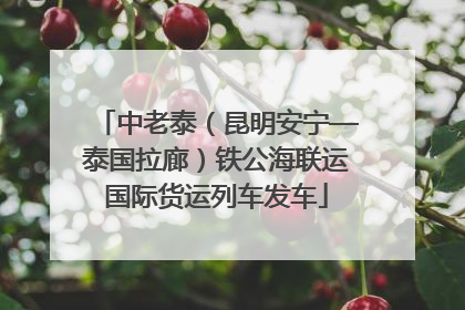 中老泰（昆明安宁—泰国拉廊）铁公海联运国际货运列车发车