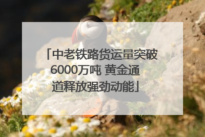 中老铁路货运量突破6000万吨 黄金通道释放强劲动能