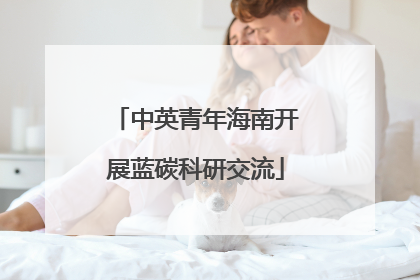 中英青年海南开展蓝碳科研交流