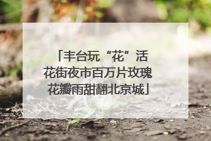丰台玩“花”活 花街夜市百万片玫瑰花瓣雨甜翻北京城