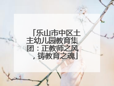 乐山市中区土主幼儿园教育集团：正教师之风，铸教育之魂