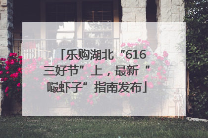 乐购湖北“616三好节”上，最新“嘬虾子”指南发布
