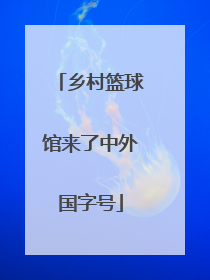 乡村篮球馆来了中外国字号