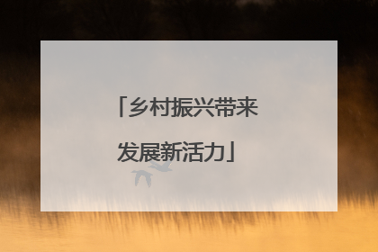 乡村振兴带来发展新活力
