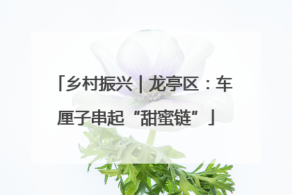 乡村振兴｜龙亭区：车厘子串起“甜蜜链”