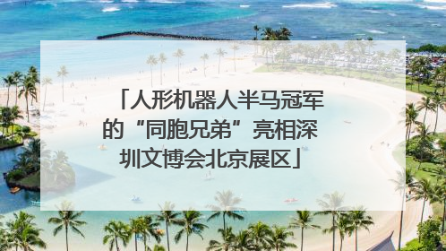 人形机器人半马冠军的“同胞兄弟”亮相深圳文博会北京展区