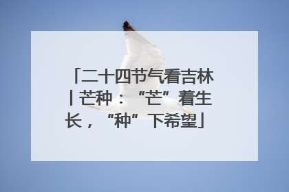 二十四节气看吉林丨芒种：“芒”着生长，“种”下希望