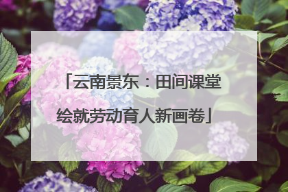 云南景东：田间课堂绘就劳动育人新画卷