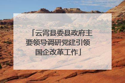 云霄县委县政府主要领导调研党建引领国企改革工作