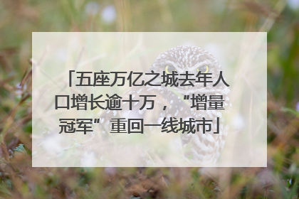 五座万亿之城去年人口增长逾十万，“增量冠军”重回一线城市