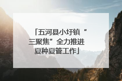 五河县小圩镇“三聚焦”全力推进夏种夏管工作