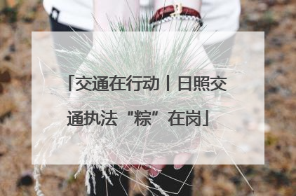 交通在行动丨日照交通执法“粽”在岗