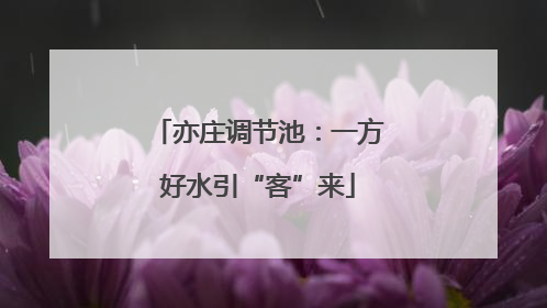 亦庄调节池：一方好水引“客”来