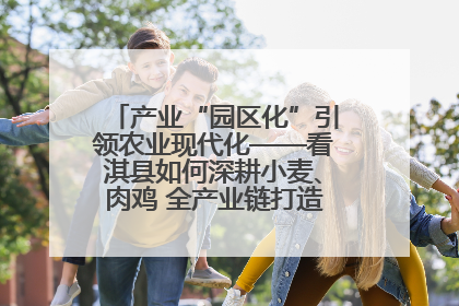 产业“园区化”引领农业现代化——看淇县如何深耕小麦、肉鸡 全产业链打造现代农业产业园