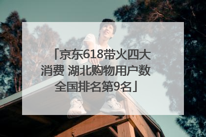 京东618带火四大消费 湖北购物用户数全国排名第9名