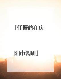 任振鹤在庆阳市调研