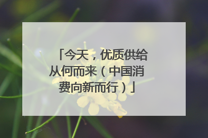 今天，优质供给从何而来（中国消费向新而行）