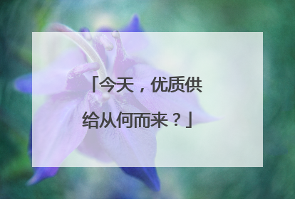 今天，优质供给从何而来？