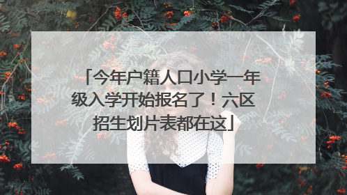 今年户籍人口小学一年级入学开始报名了！六区招生划片表都在这