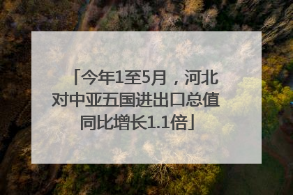 今年1至5月，河北对中亚五国进出口总值同比增长1.1倍