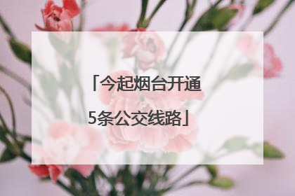今起烟台开通5条公交线路