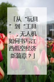 从“玩具”到“工具”，无人机如何书写江西低空经济新篇章？