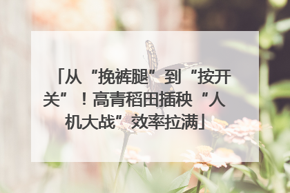 从“挽裤腿”到“按开关”！高青稻田插秧“人机大战”效率拉满