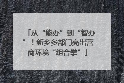 从“能办”到“智办”！新乡多部门亮出营商环境“组合拳”