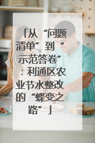 从“问题清单”到“示范答卷”：利通区农业节水整改的“蝶变之路”