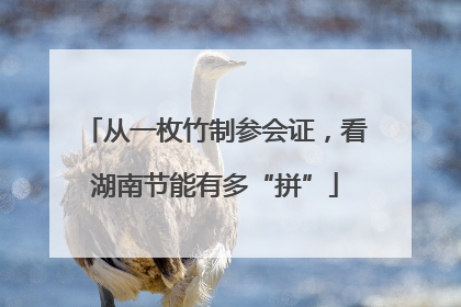 从一枚竹制参会证，看湖南节能有多“拼”