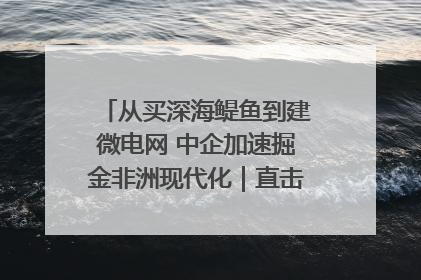 从买深海鳀鱼到建微电网 中企加速掘金非洲现代化｜直击中非经贸博览会